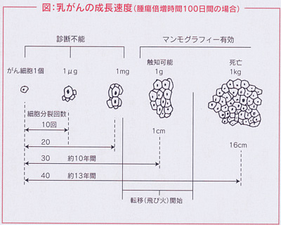 乳がんの成長速度